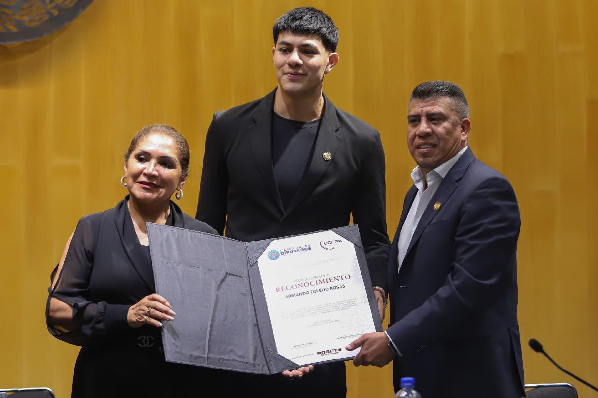 bogueto-camara-diputados-ine-animal-politico