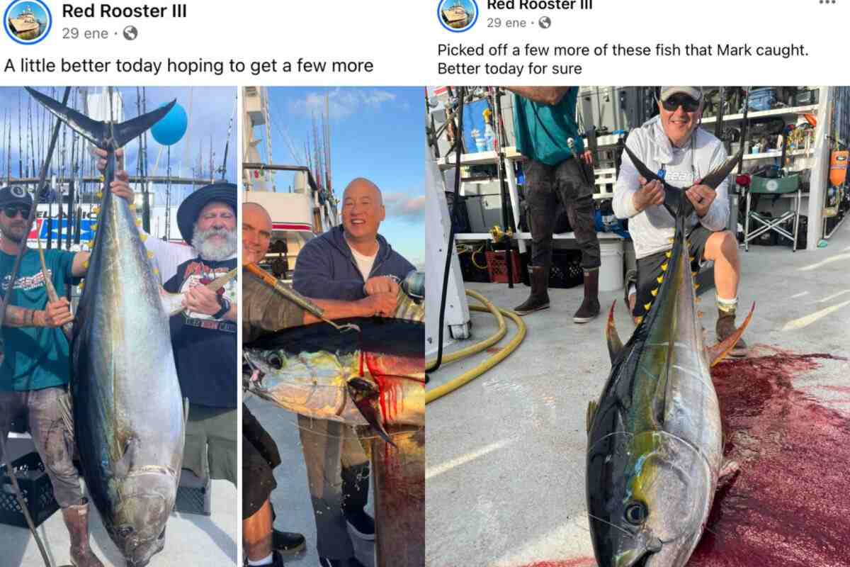 Captura de pantalla de las redes sociales asociadas al viaje del Red Rooster III en los mismos días de enero en que se encontraban en Revillagigedo