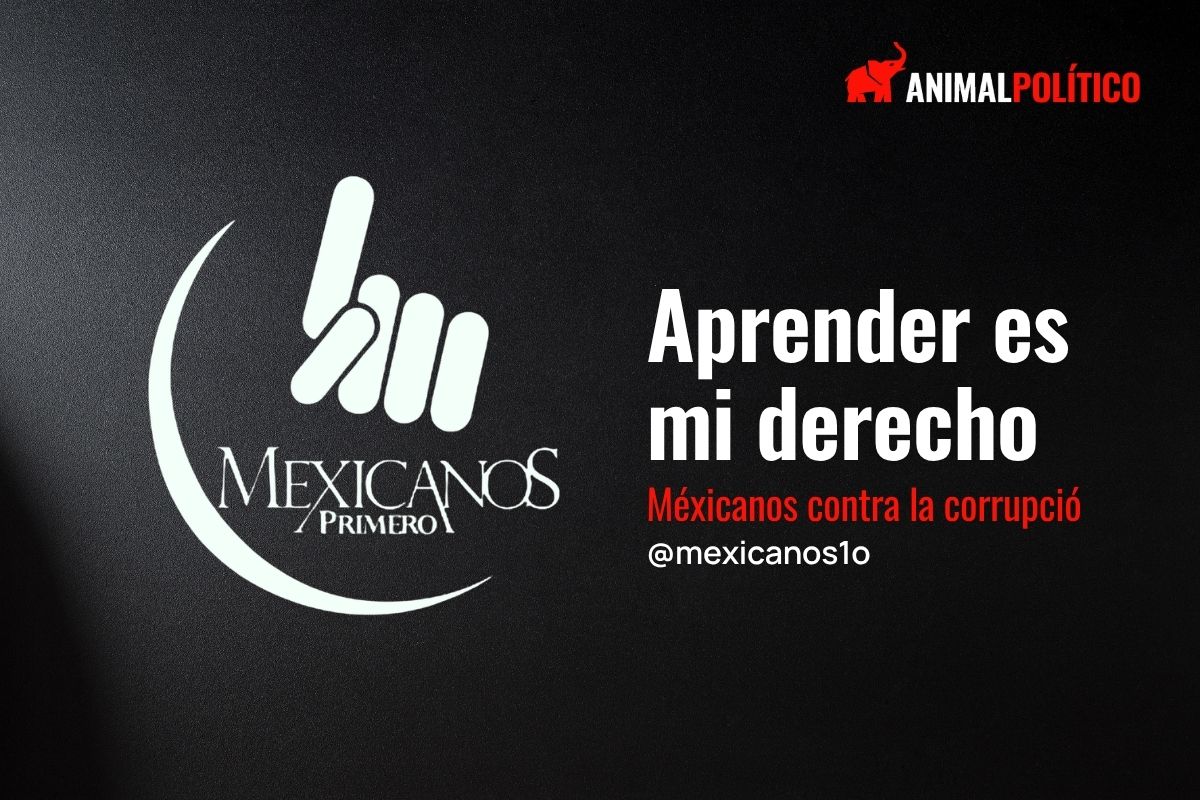 Aprender en un mundo en riesgo