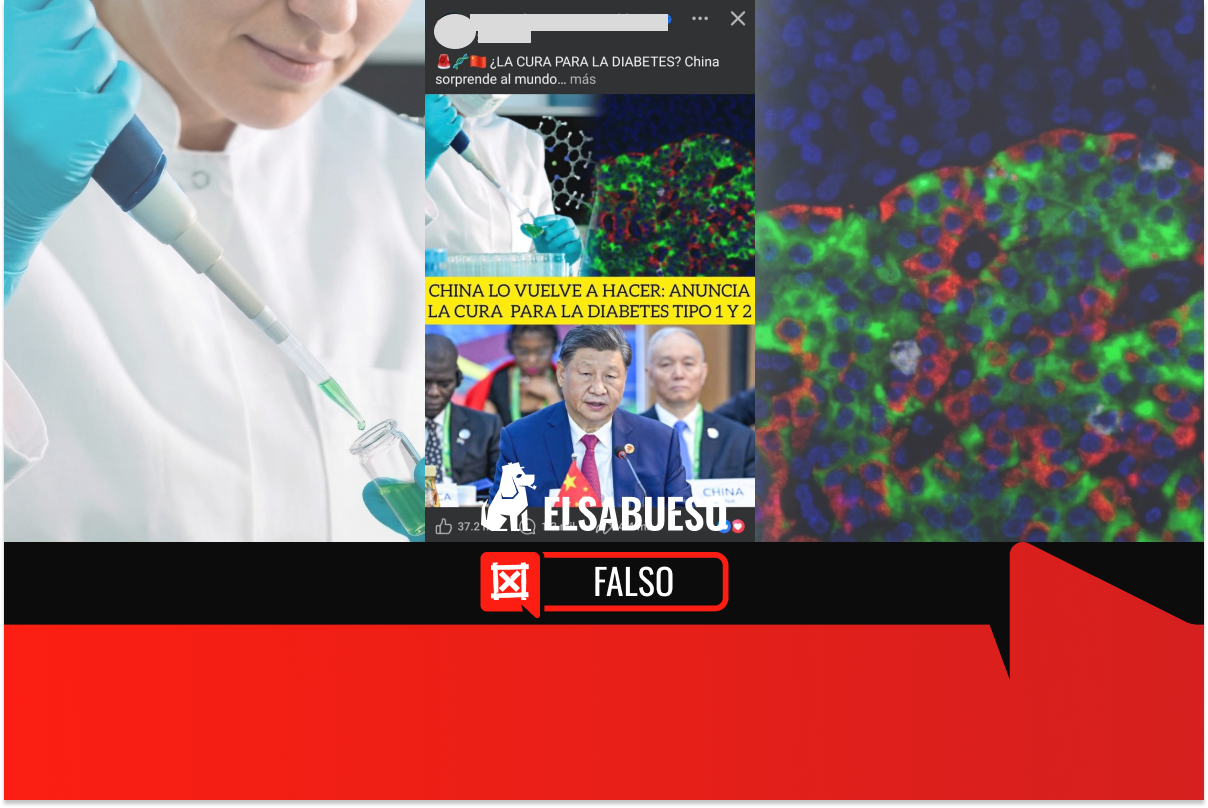 China no descubrió la cura para la diabetes; los avances se limitan a terapias con células madre