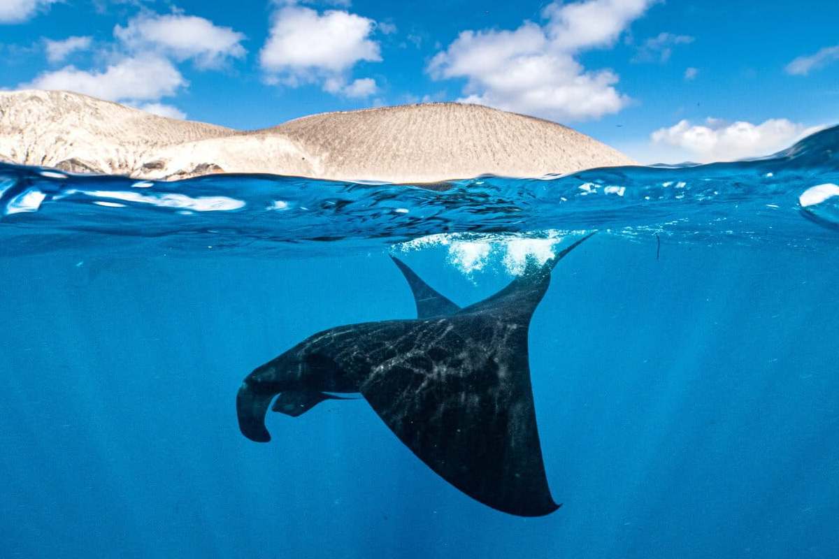 Denuncias por pesca ilegal en el Parque Nacional Revillagigedo están en el aire o archivadas