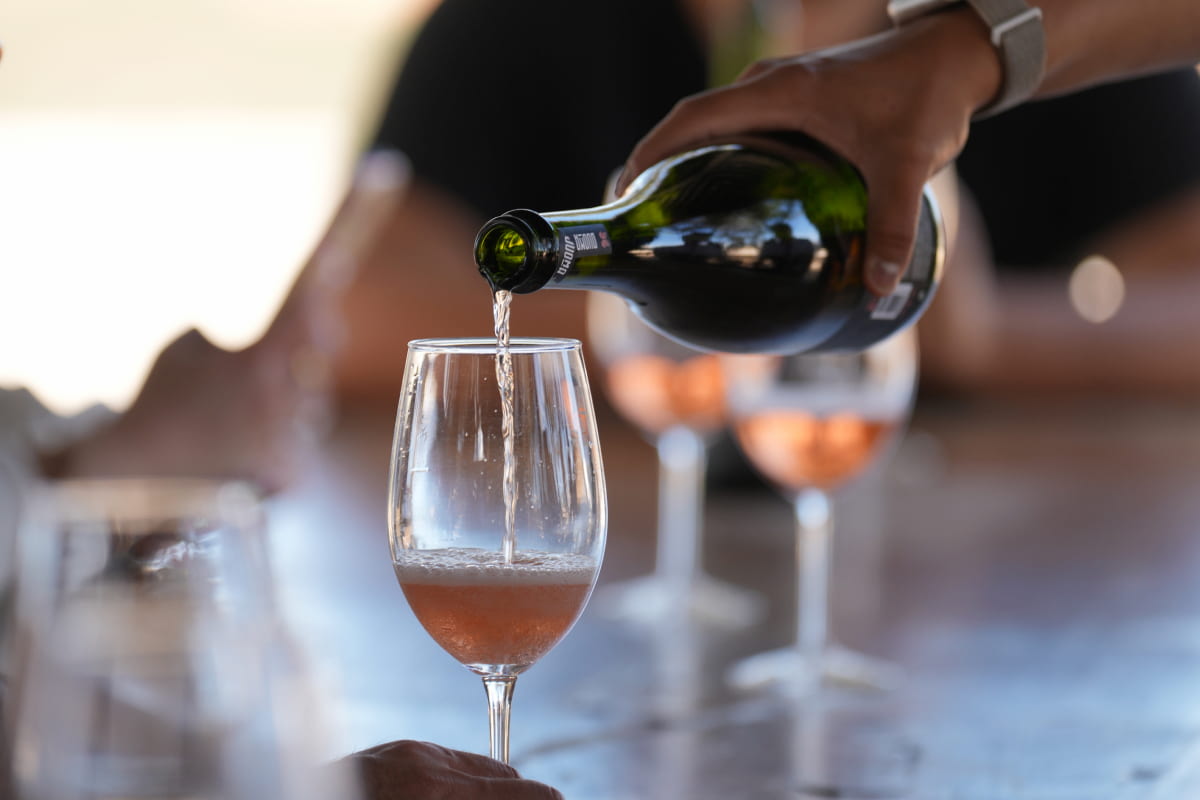 viñedo Valle de Guadalupe