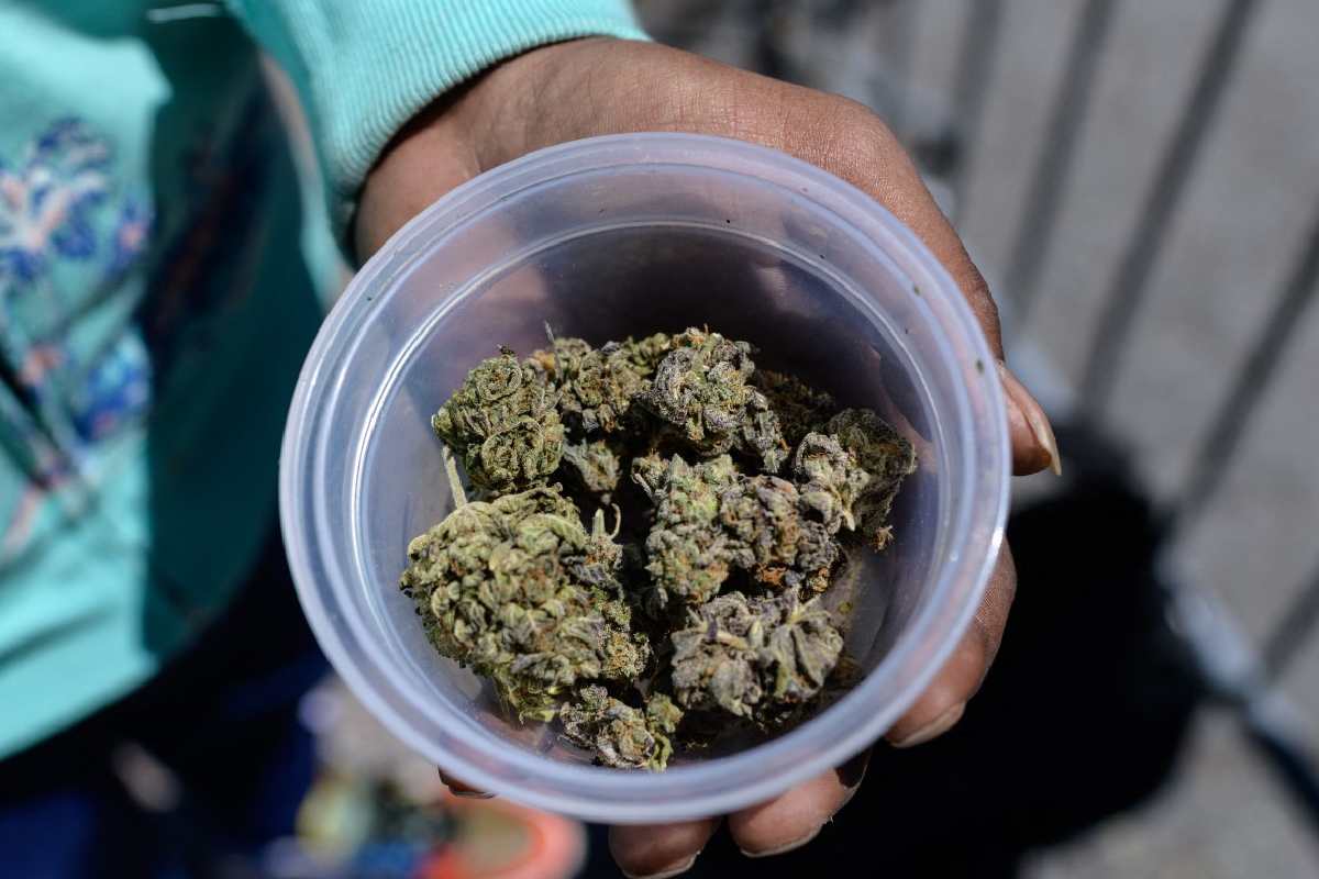 Estados Unidos reclasifica a la marihuana y facilita su acceso para uso medicinal