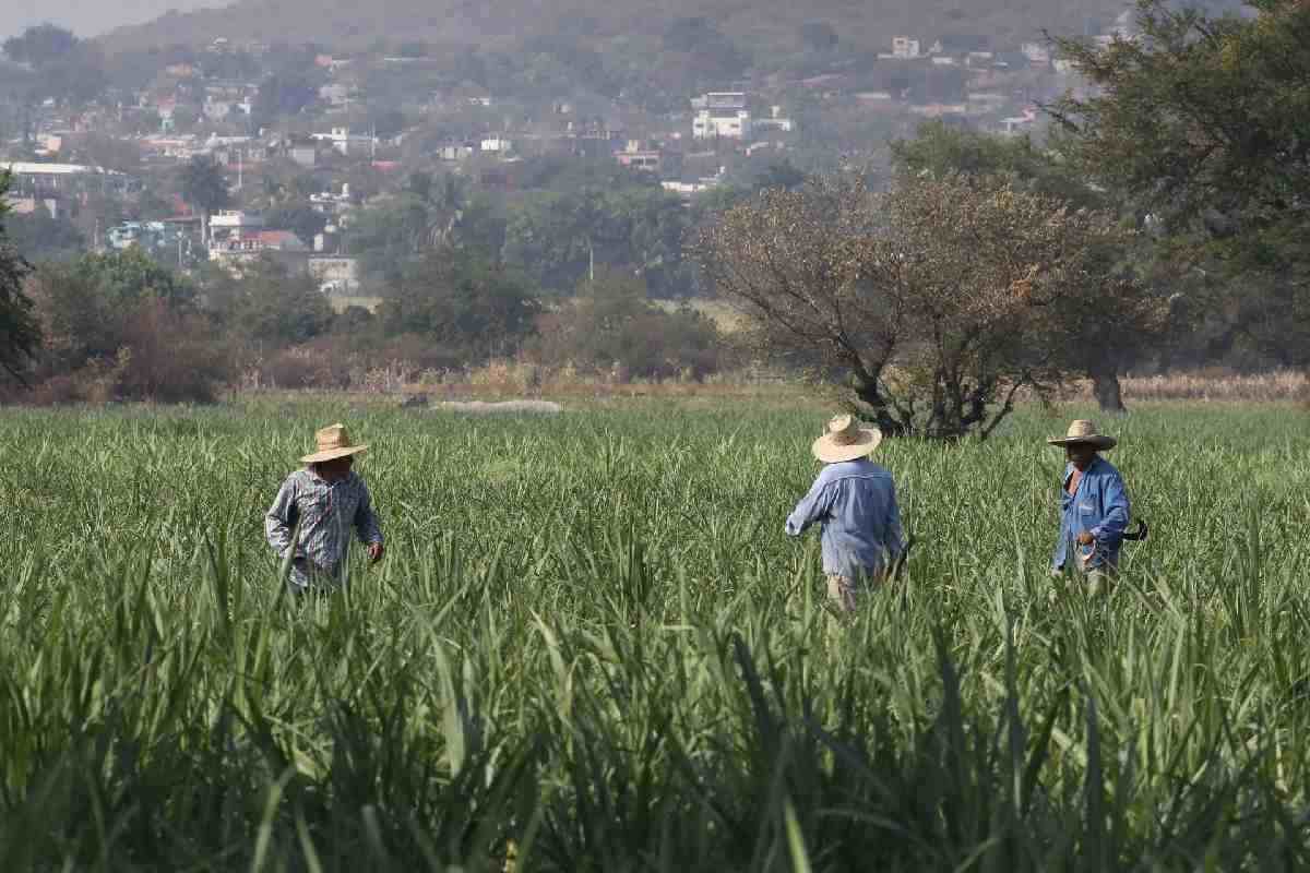 Hacienda atribuye caída del PIB al aumento de aranceles y conflicto en Medio Oriente