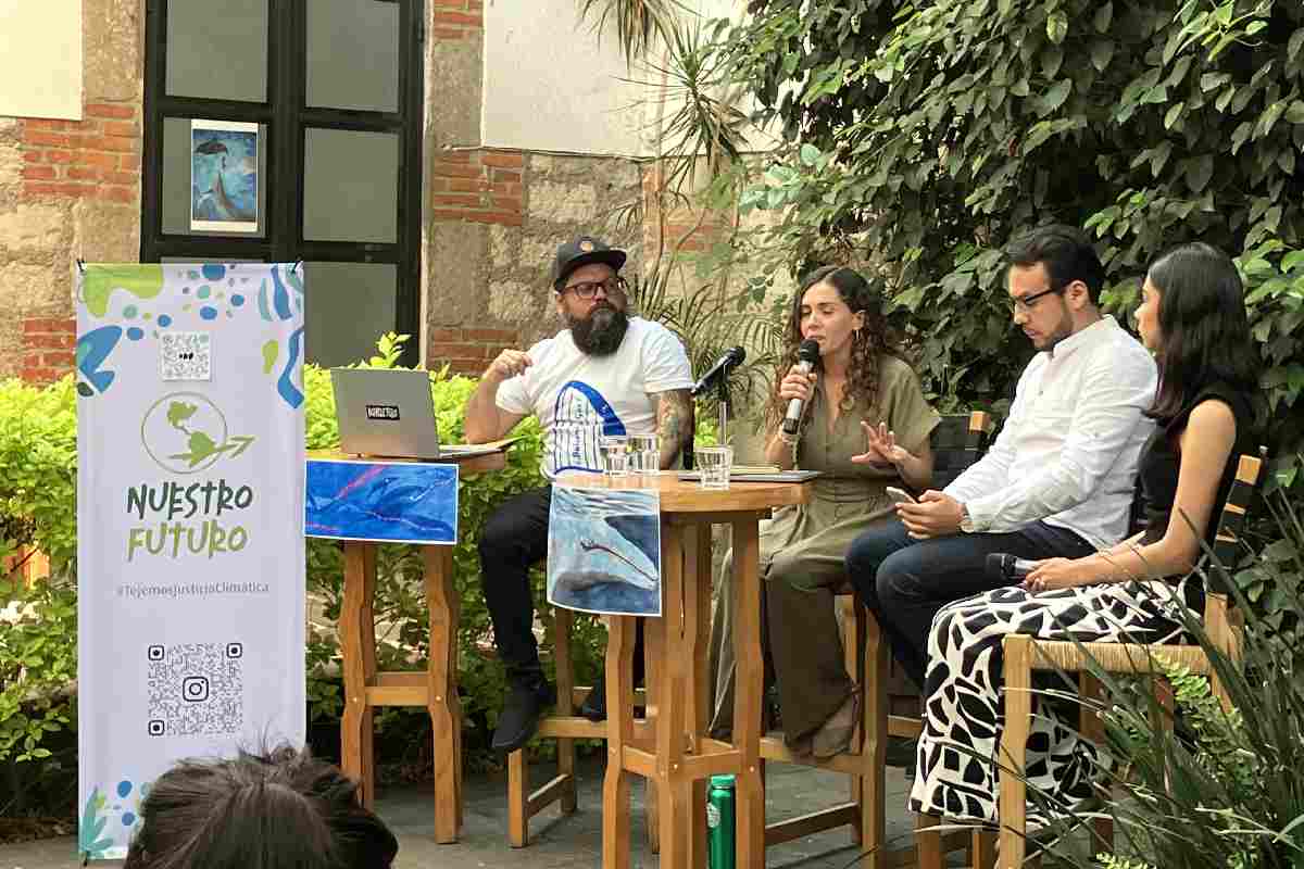 Juicio de las ballenas avanza: frenan a buques metaneros en el Golfo de California; jueza concede suspensión definitiva a los cetáceos