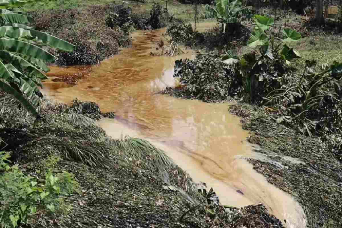 Lluvias causan arrastre de hidrocarburos en Poza Rica y Coatzintla, Veracruz; Pemex activa operativo