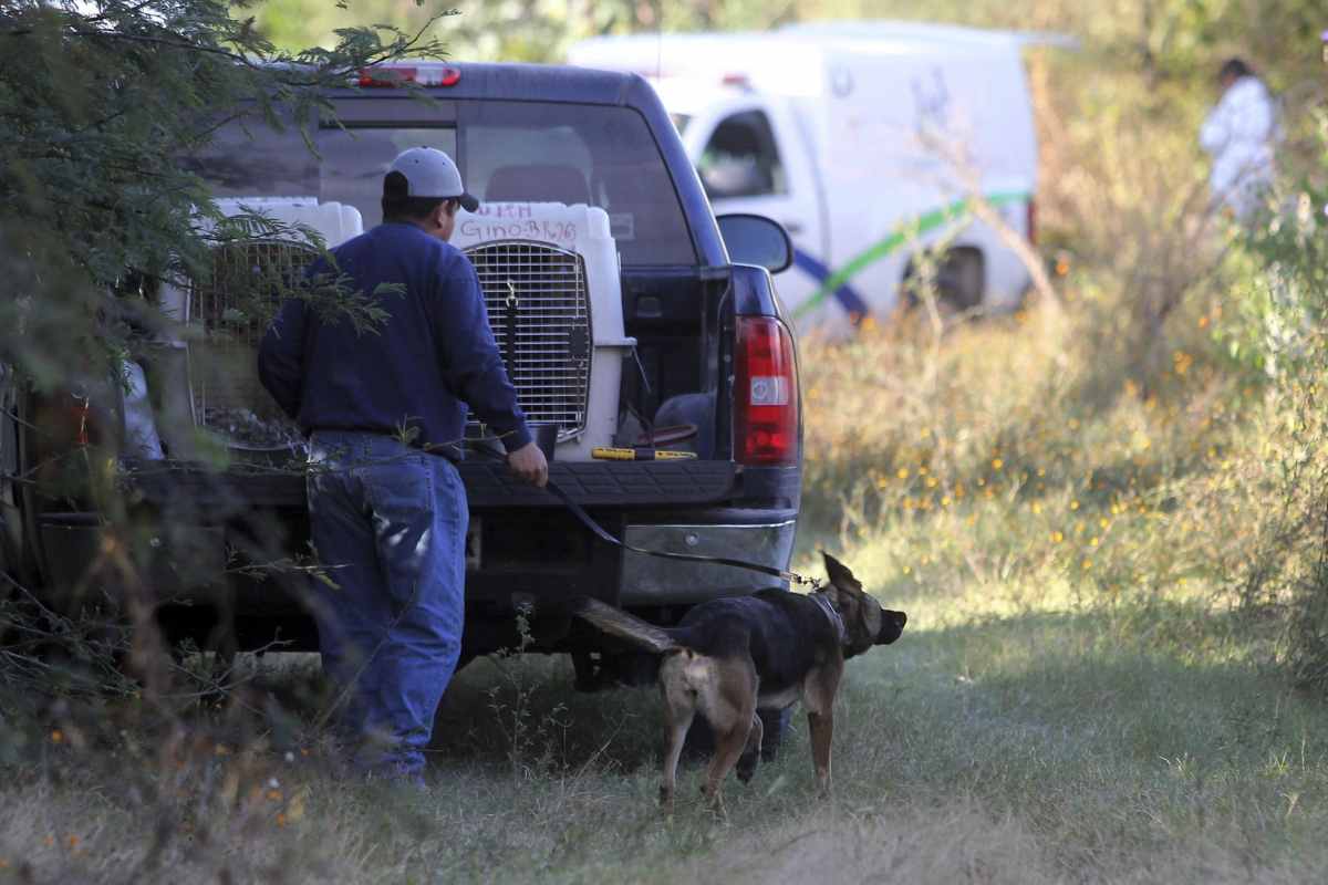 Localizan restos óseos de 11 personas en fosa clandestina en Ixtlahuacán, Jalisco