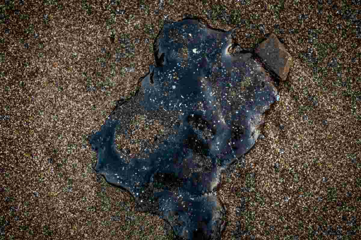 López Rabadán exige transparencia en investigación por derrame en el Golfo