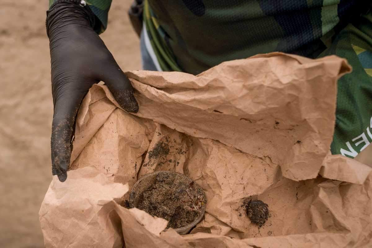 “No tenemos ninguna queja” de EU por presencia de petróleo en sus costas, dice Sheinbaum