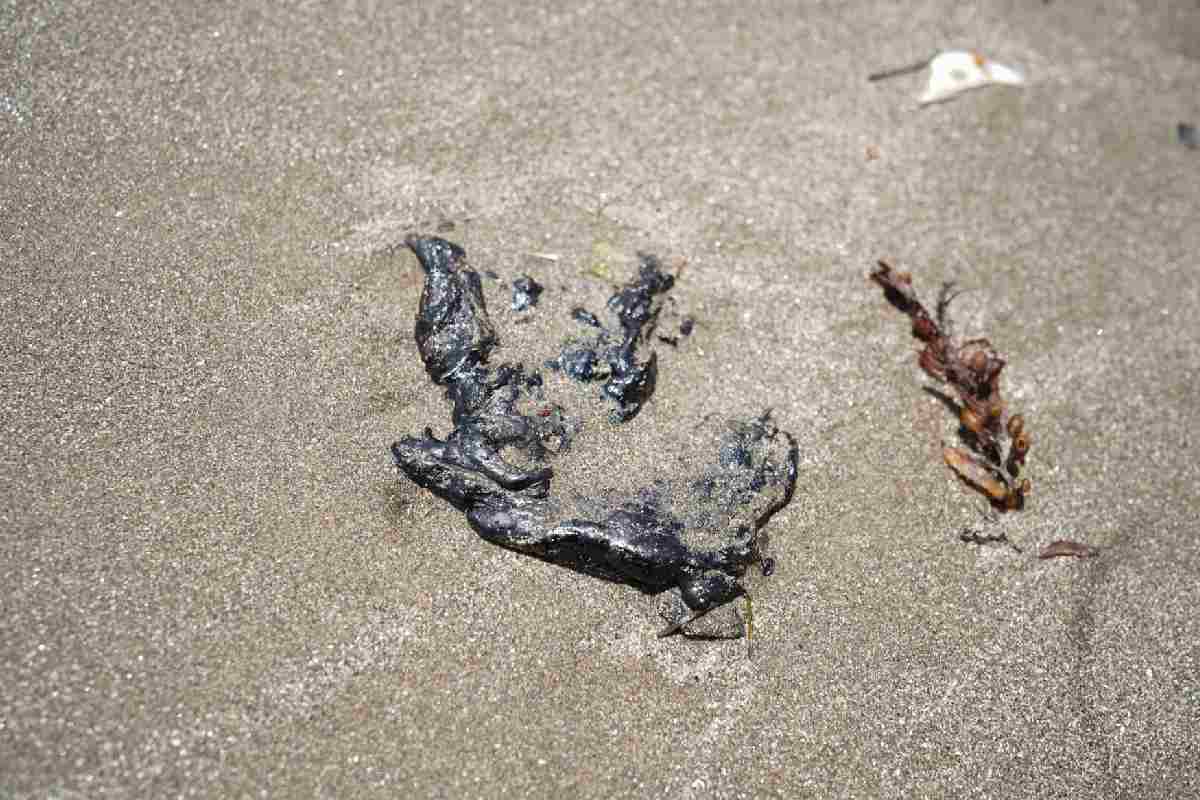 “No tenemos ninguna queja” de EU por presencia de petróleo en sus costas, dice Sheinbaum