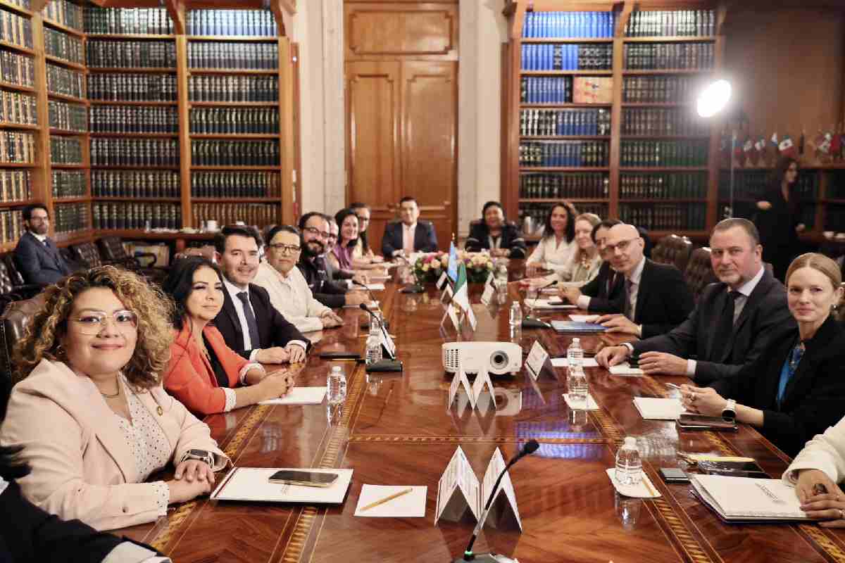 ONU desaparecidos alto comisionado reunión con segob