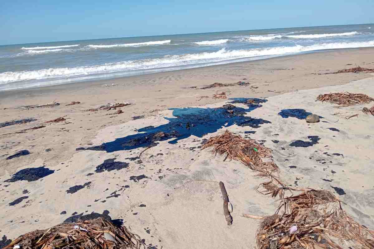Paraíso perdido: en Tabasco el desastre llegó antes del chapopote