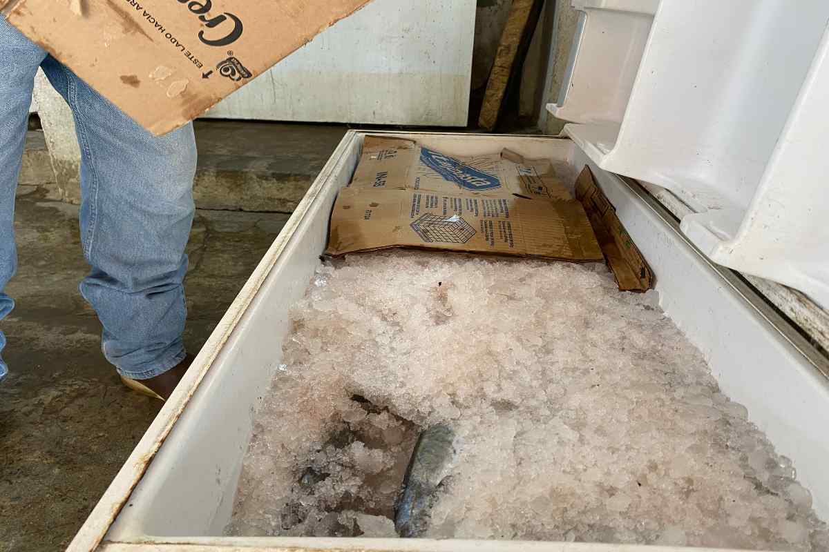 Paraíso perdido: en Tabasco el desastre llegó antes del chapopote