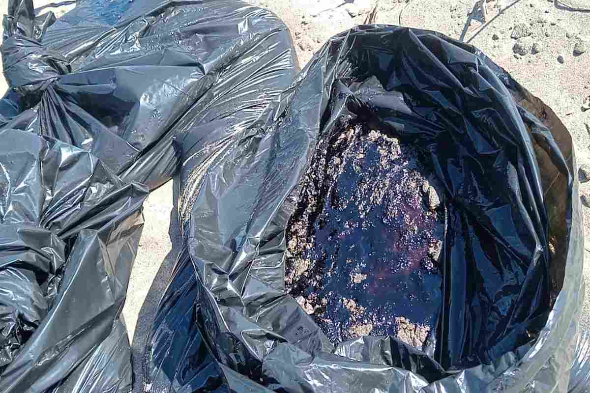 Parte de los residuos de chapopote en las playas de Tabasco. Foto: Pescadores de Tabasco.