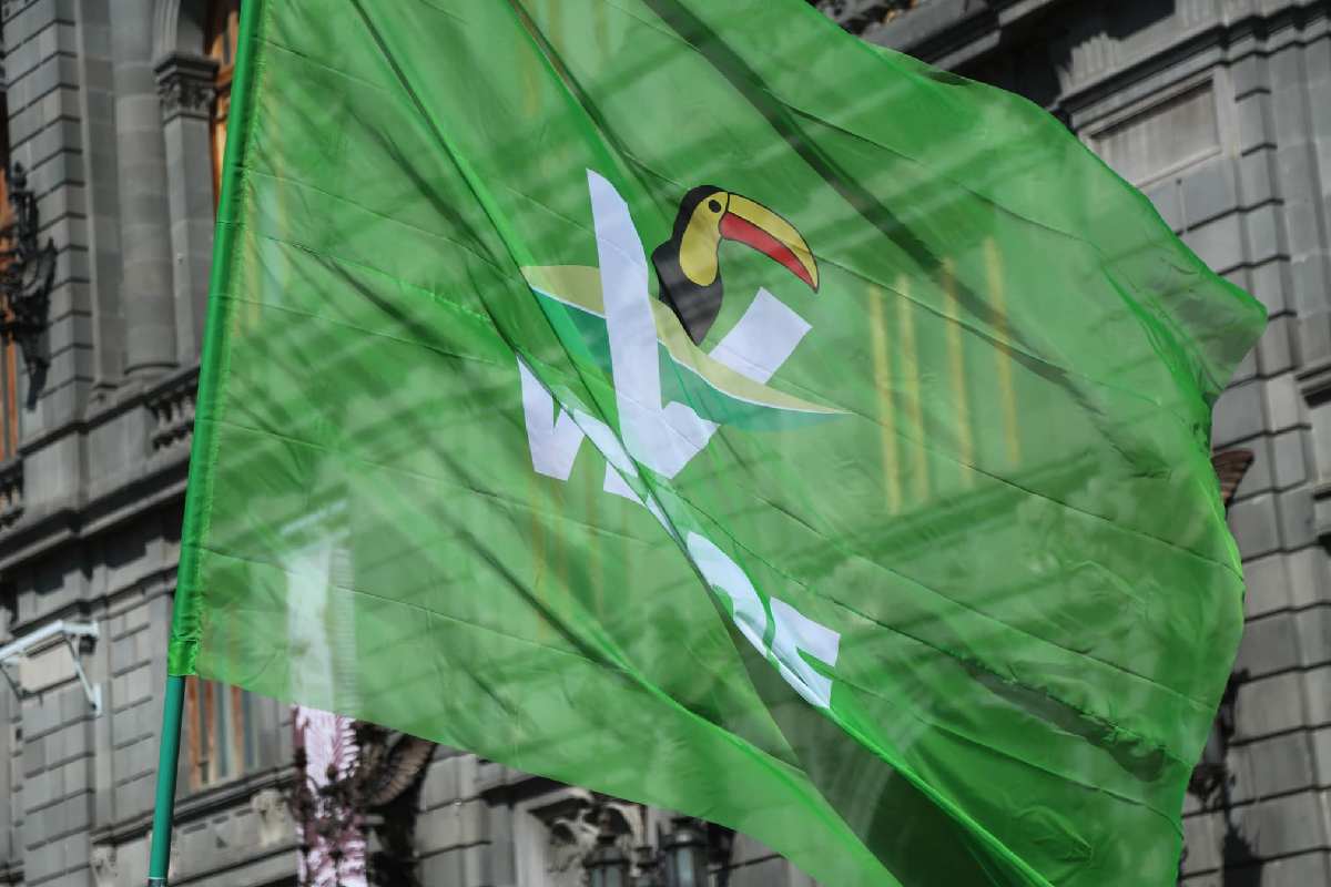 Partido Verde se prepara para ir solo, también en CDMX, para la elección de 2027