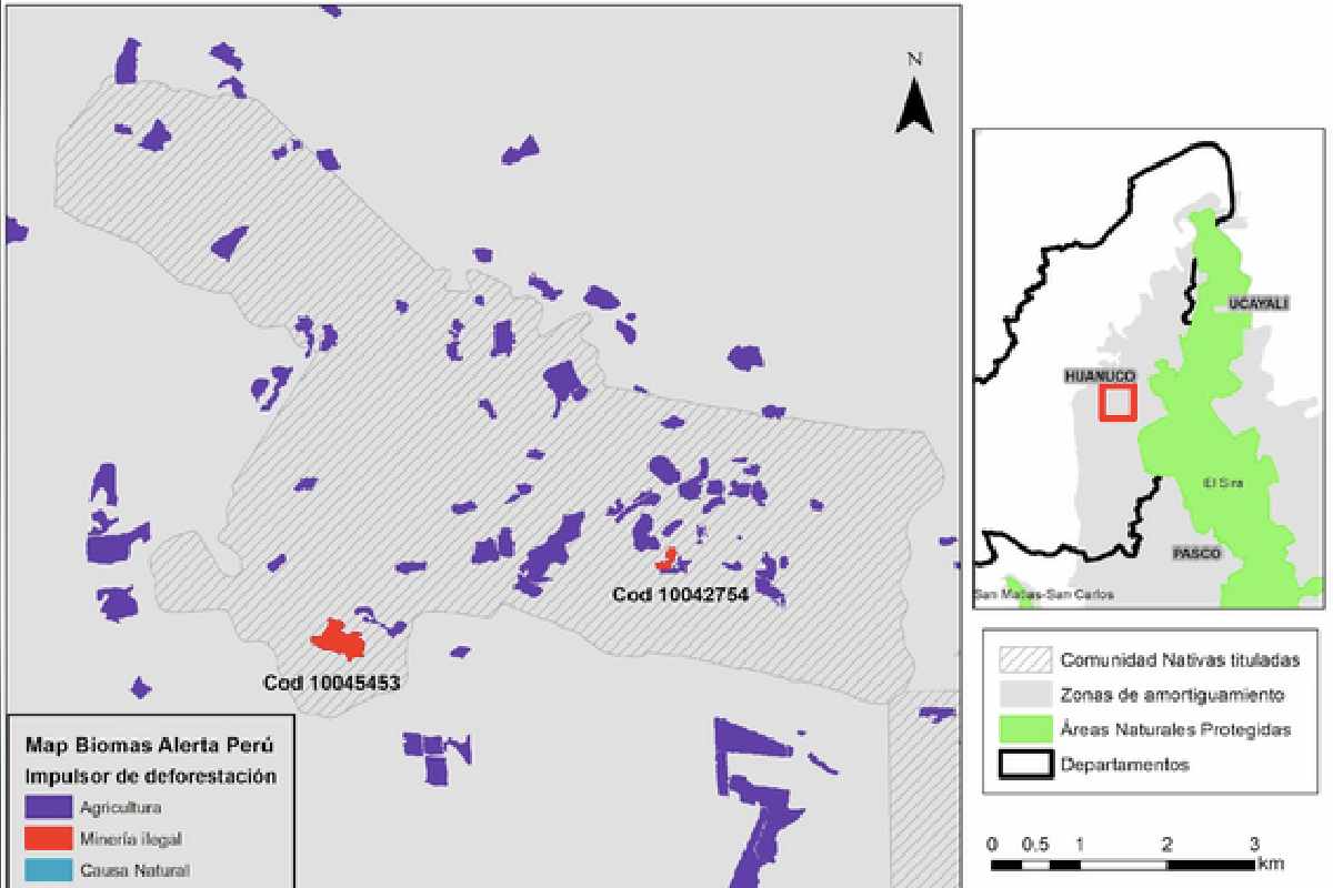 Perú: Tsirotzire, la comunidad indígena amazónica donde comenzó la expansión de la minería ilegal en Huánuco