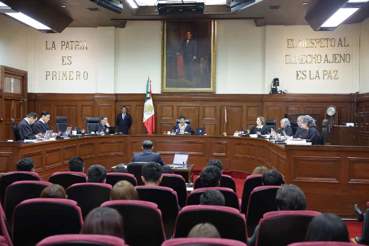 SCNJ derecho consulta personas discapacidad
