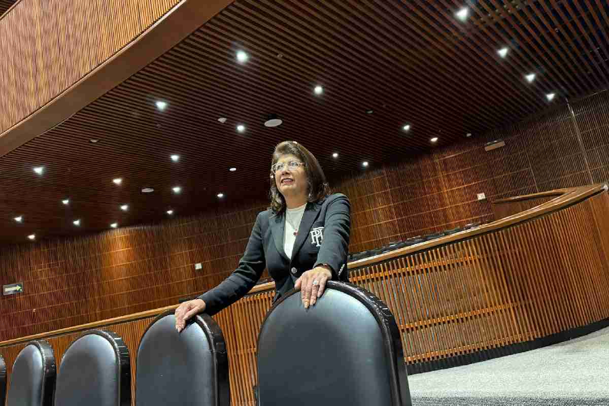 Senadora Mariela Gutiérrez sacrificio perros tecamac