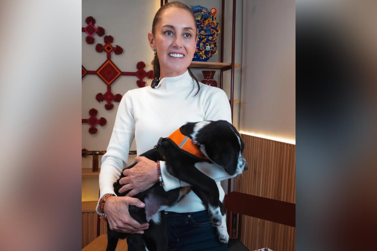 Sheinbaum cuidado animal