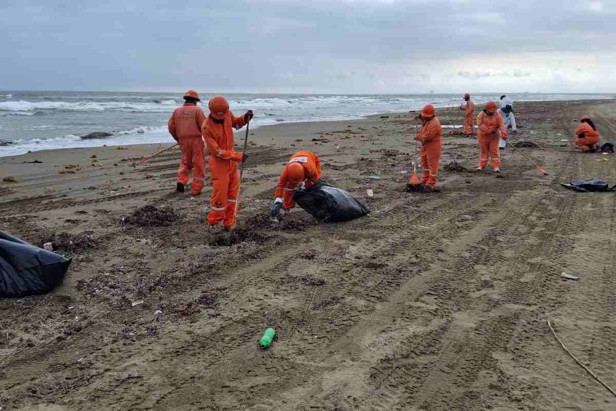 Sheinbaum destaca limpieza de playas por derrame en el Golfo; anuncia creación de Observatorio Permanente