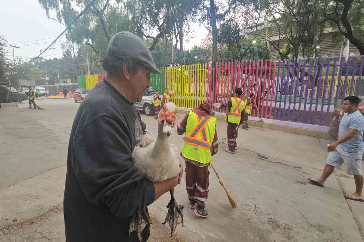 “Tan cerca y tan lejos”: un mundial ajeno a los vecinos del estadio Azteca