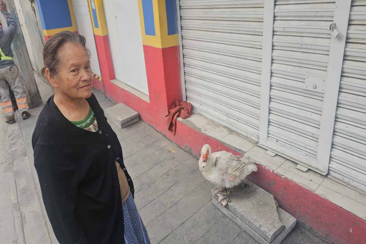 “Tan cerca y tan lejos”: un mundial ajeno a los vecinos del estadio Azteca