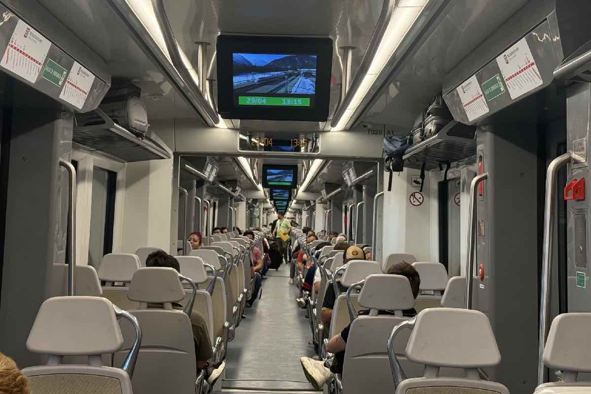 tren-aifa-fallas-confusion-usuarios