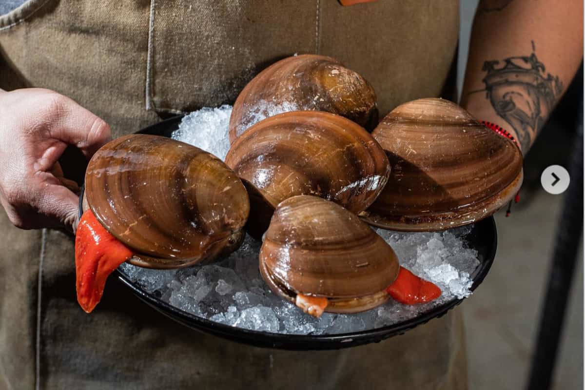 veda de almejas chocolates en Loreto