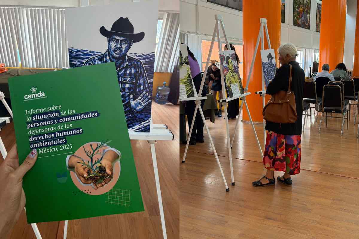 ambientalistas-asesinados-semana-michoacan-cemda