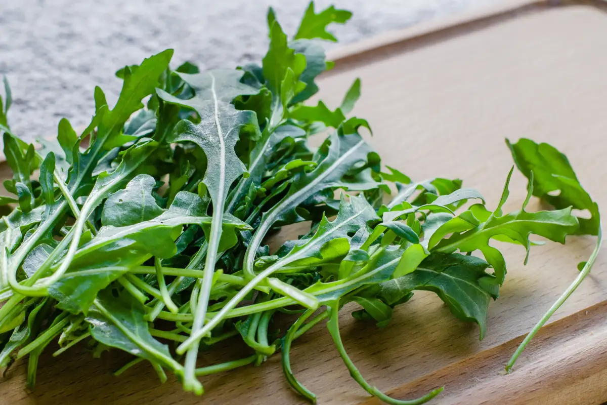 La rúcula o arúgula son lo mismo ¿para qué sirve? y sus beneficios