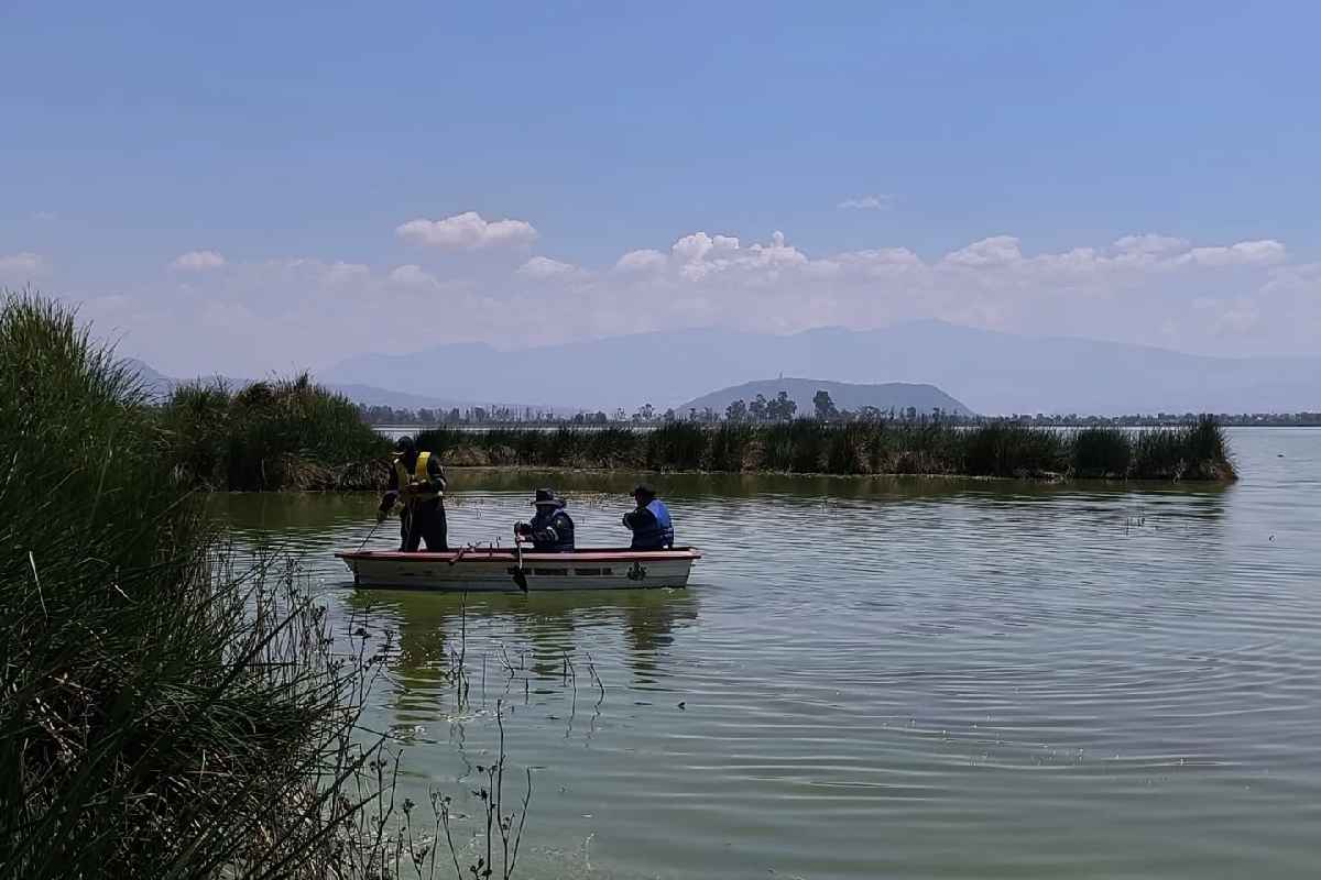Colectivos reportan hallazgo de restos óseos en límites entre Tláhuac y Chalco durante jornada de búsqueda