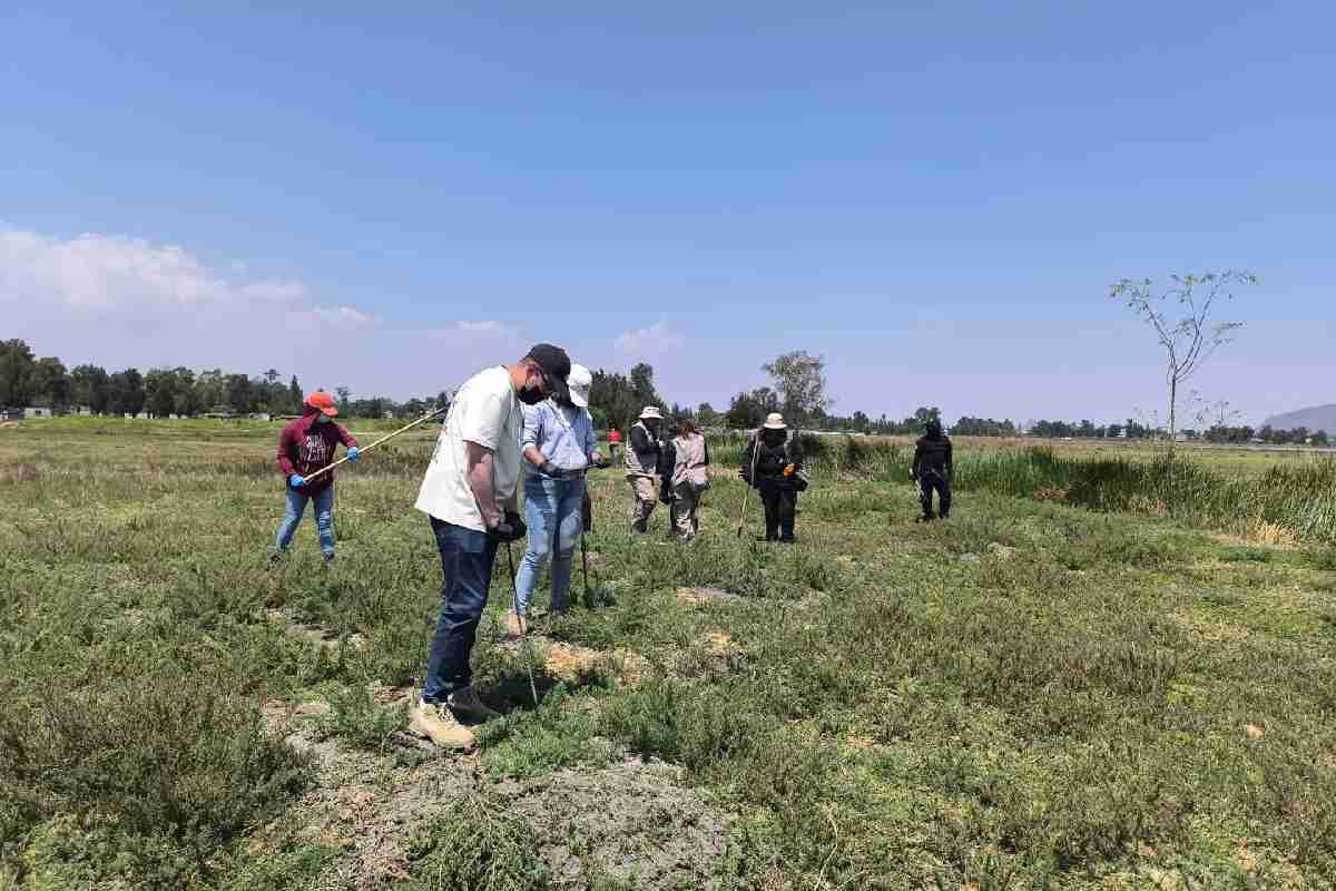 Colectivos de búsqueda reportan hallazgo de restos óseos en límites entre Tláhuac y Chalco