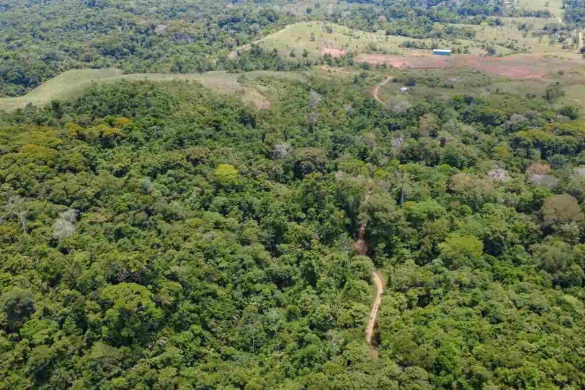 La región de Crucitas, en Costa Rica, enfrenta conflictos por la minería ilegal en la zona fronteriza con Nicaragua. Foto: cortesía Fundación del Río
