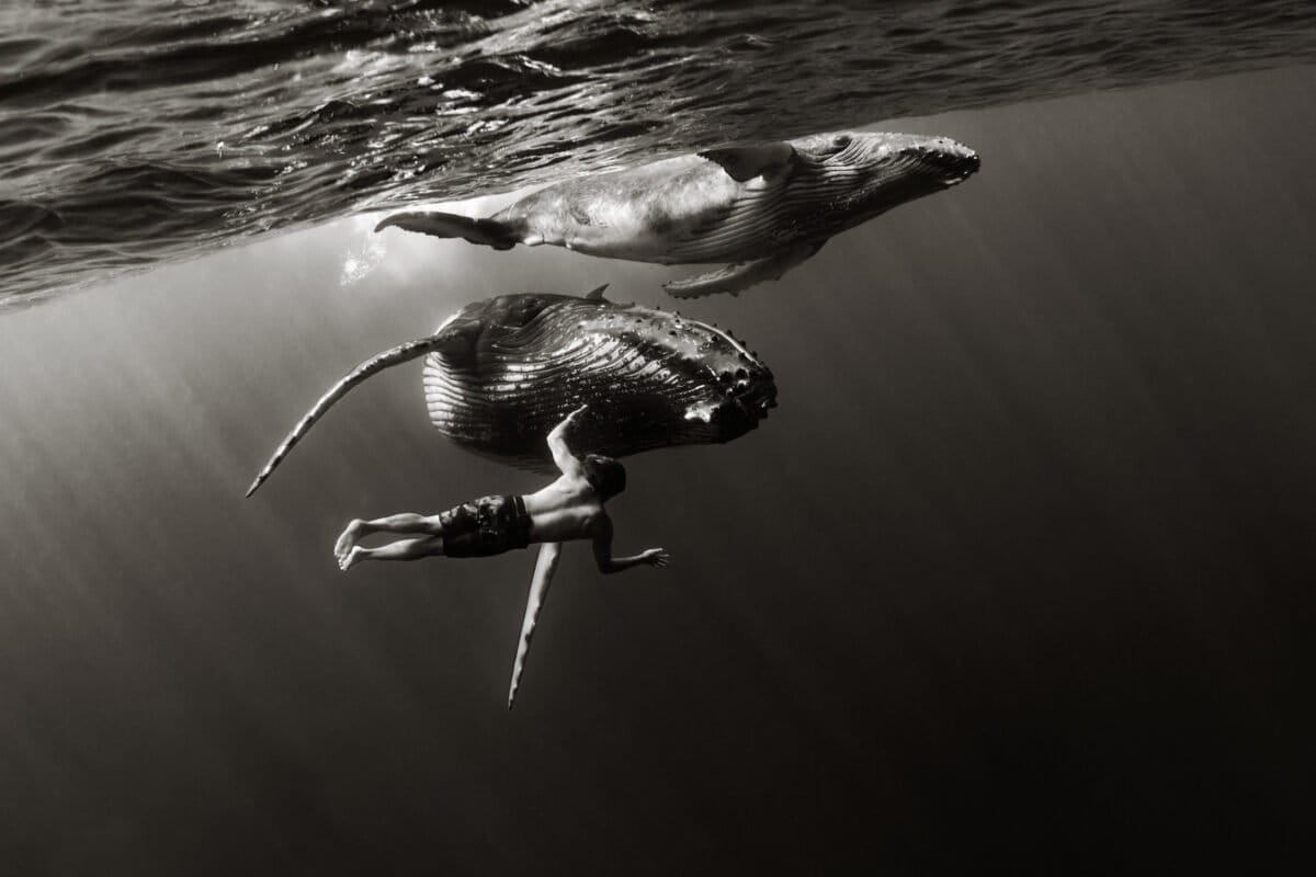 Cristina Mittermeier, pionera de la fotografía de conservación, advierte sobre el futuro de los mares mexicanos