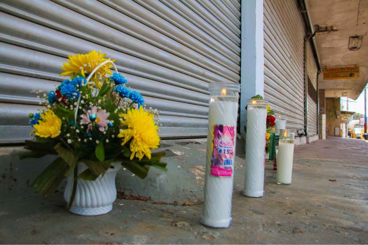 Cuatro mujeres asesinadas en Culiacán: Sara, su guardería canina y los planes que frenó la violencia