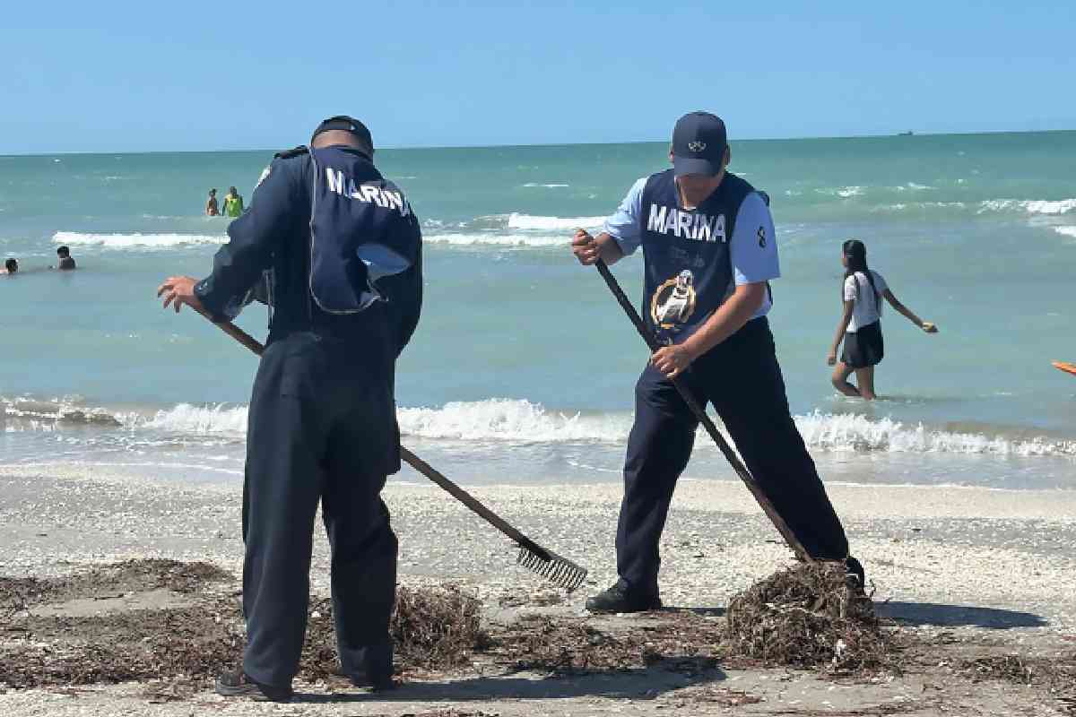 Recolectan 889 toneladas de hidrocarburo tras derrame; se mantienen brigadas en 48 playas