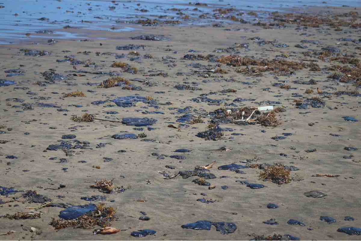 Organizaciones critican respuesta limitada al derrame en el Golfo; demandan que Pemex repare el daño