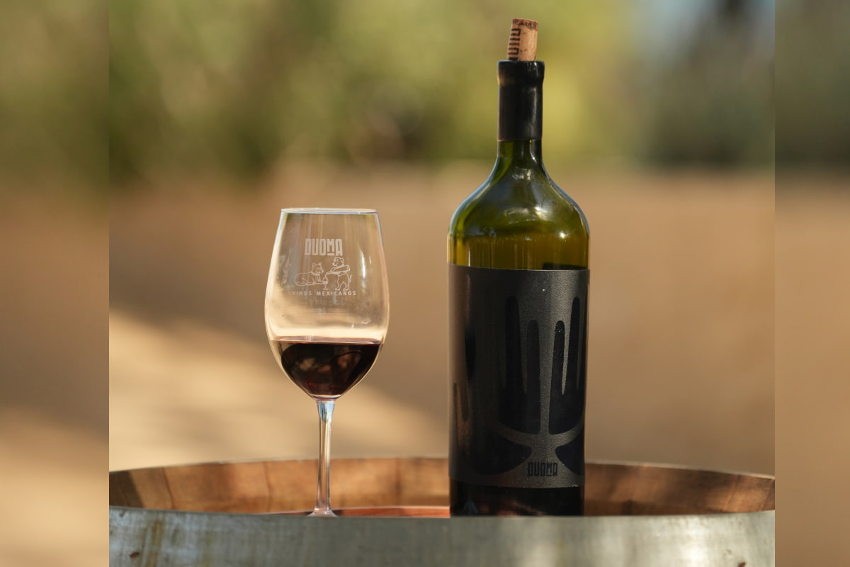 dónde tomar vino en Valle de Guadalupe