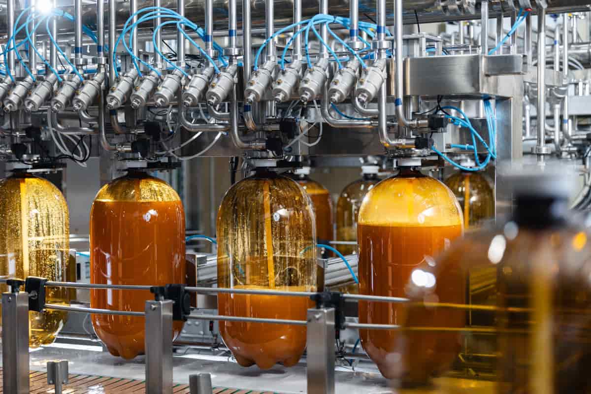 Conoce la hidromiel la bebida de las abejas