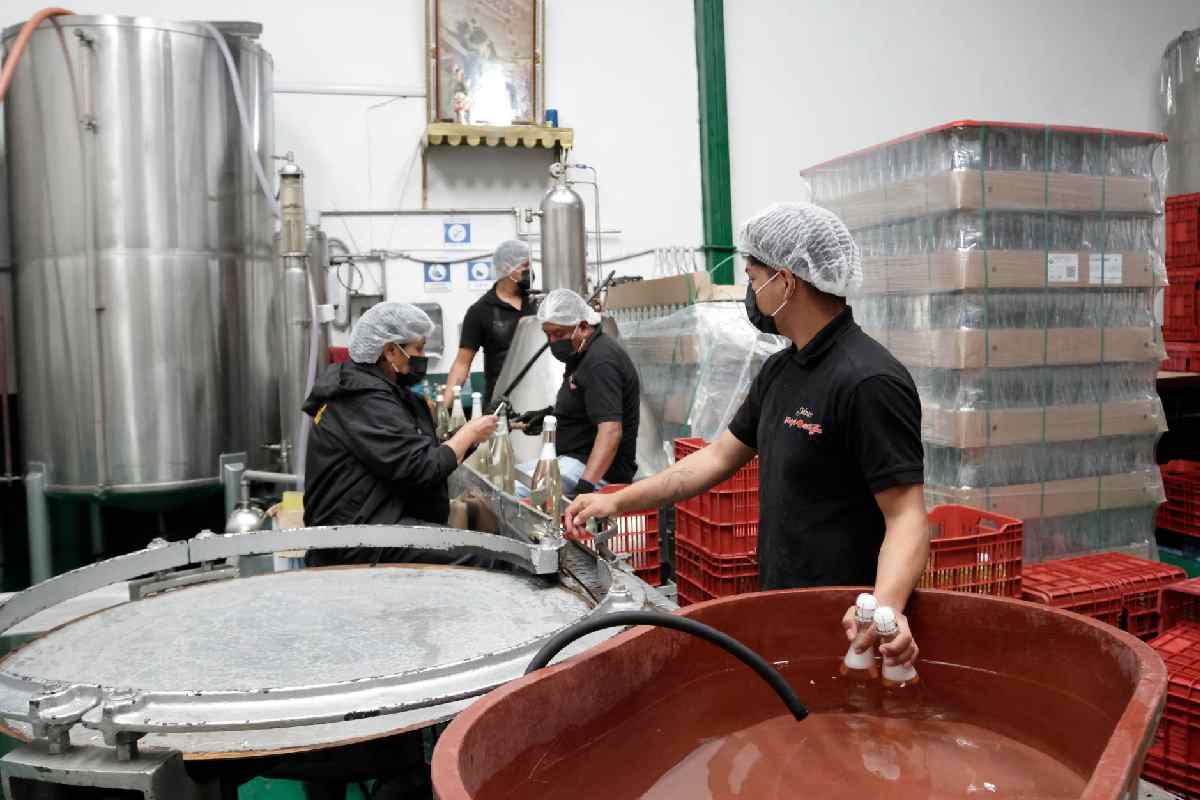 Crece el empleo en México; la informalidad sin cambio