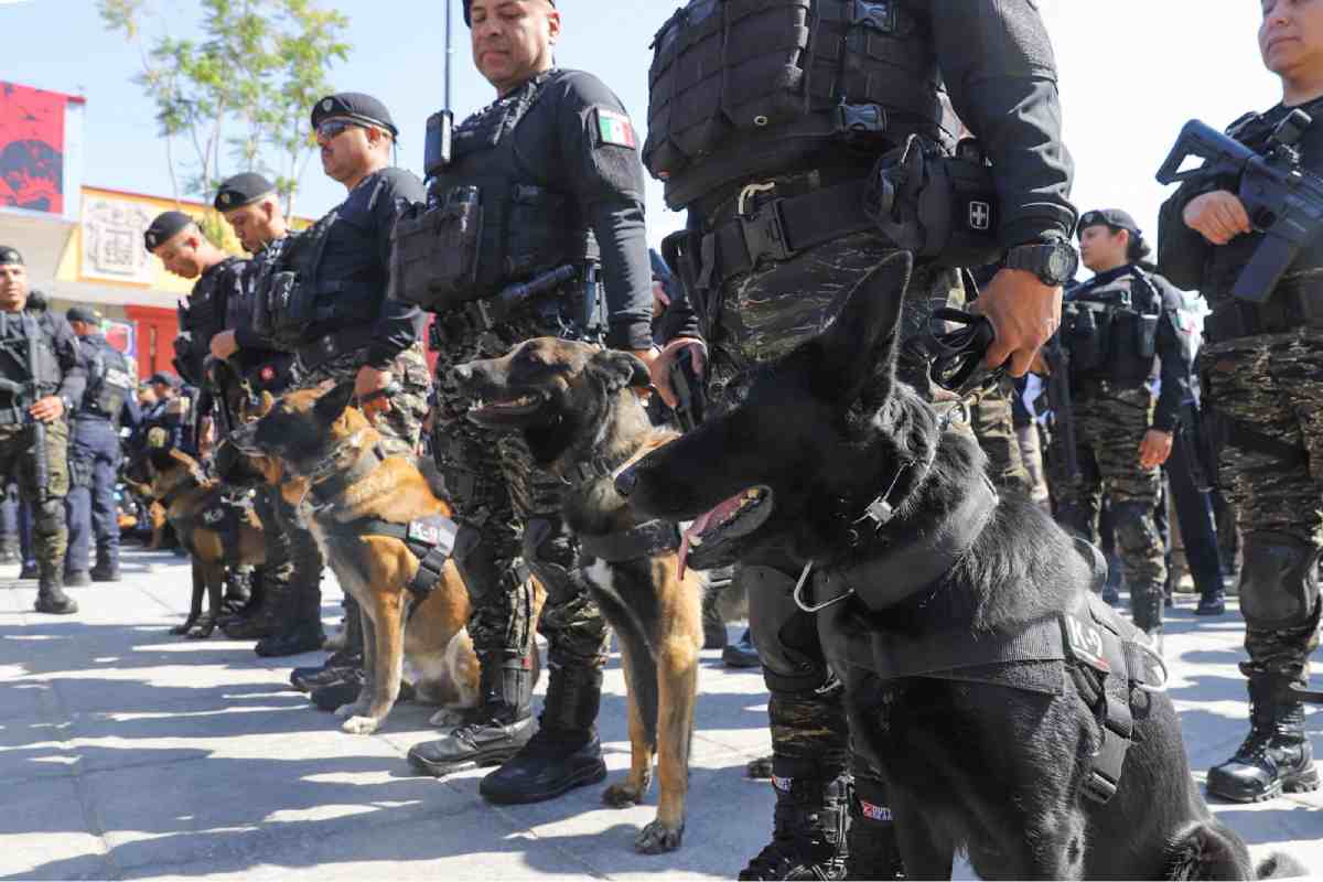 feria-san-marcos-2026-operativo-seguridad