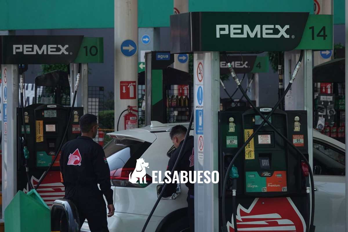 Gasolina magna o premium: ¿cuándo sí afecta el motor y la potencia de tu auto? 