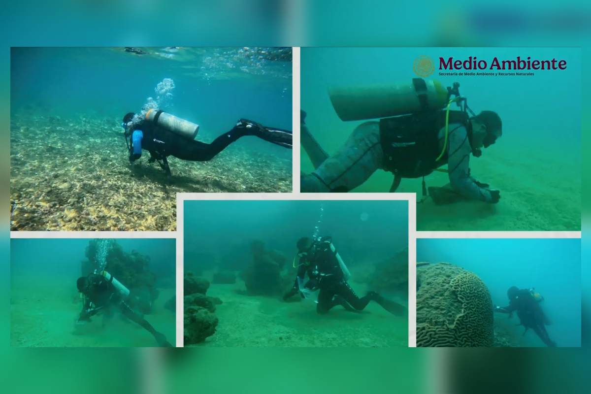 grupo-interinstitucional-confirma-derrame-de-febrero-en-el-golfo-de-mexico-fue-ocultado-por-areas-operativas-de-pemex-4