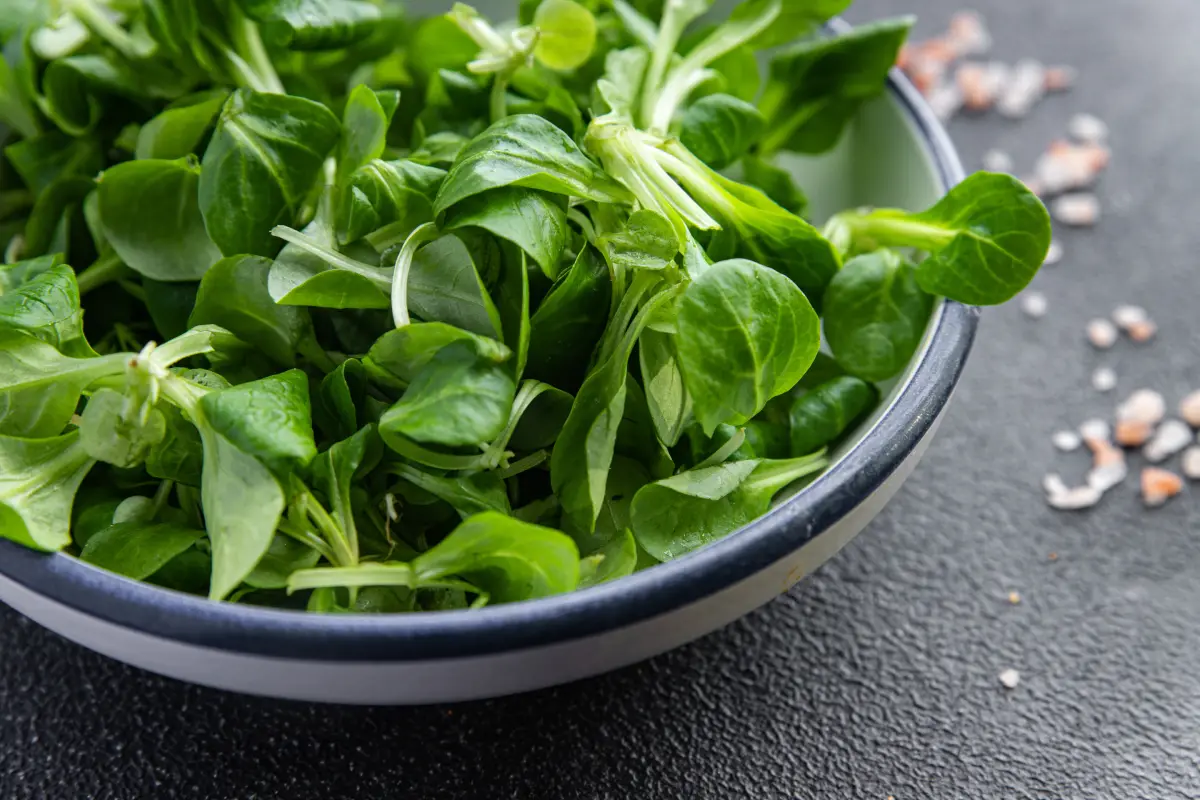 Ensalada sobre un bowl con lechuga canonigo