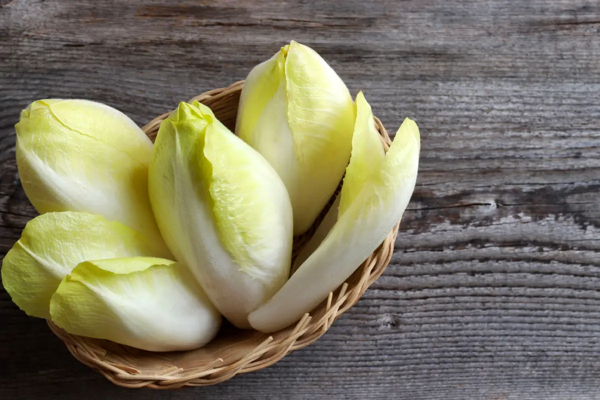 Sobre un canasto están varias endivias, un tipo de lechuga 