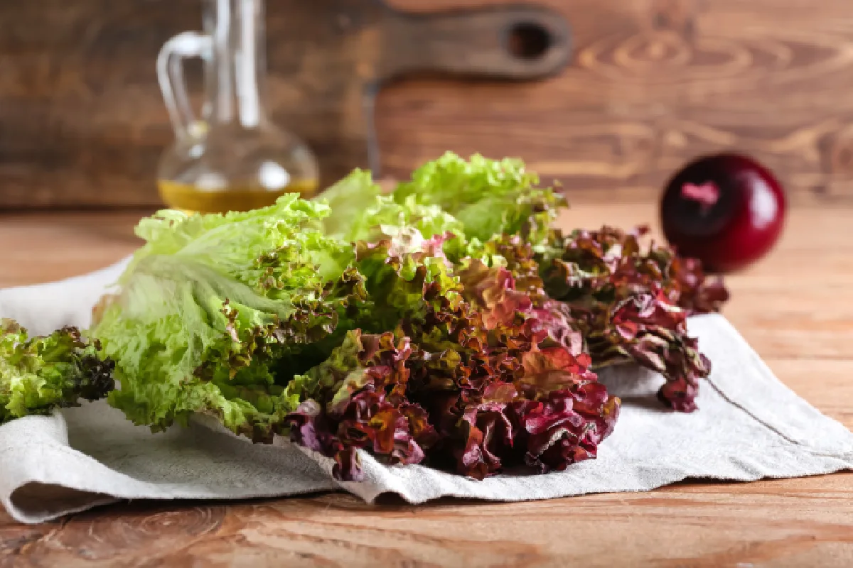 Lechuga fresca de Lollo Rosso sobre fondo de madera