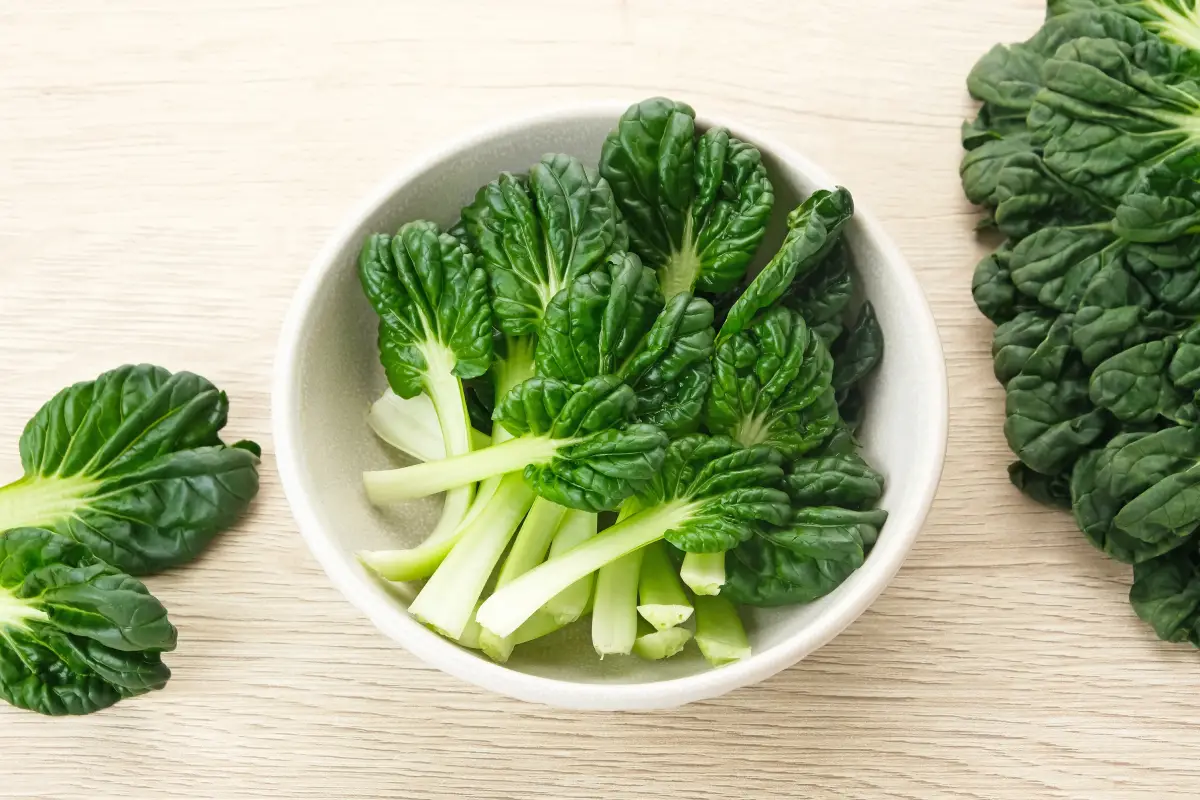 Sawi Pagoda (lechuga Tatsoi) servido en tazón