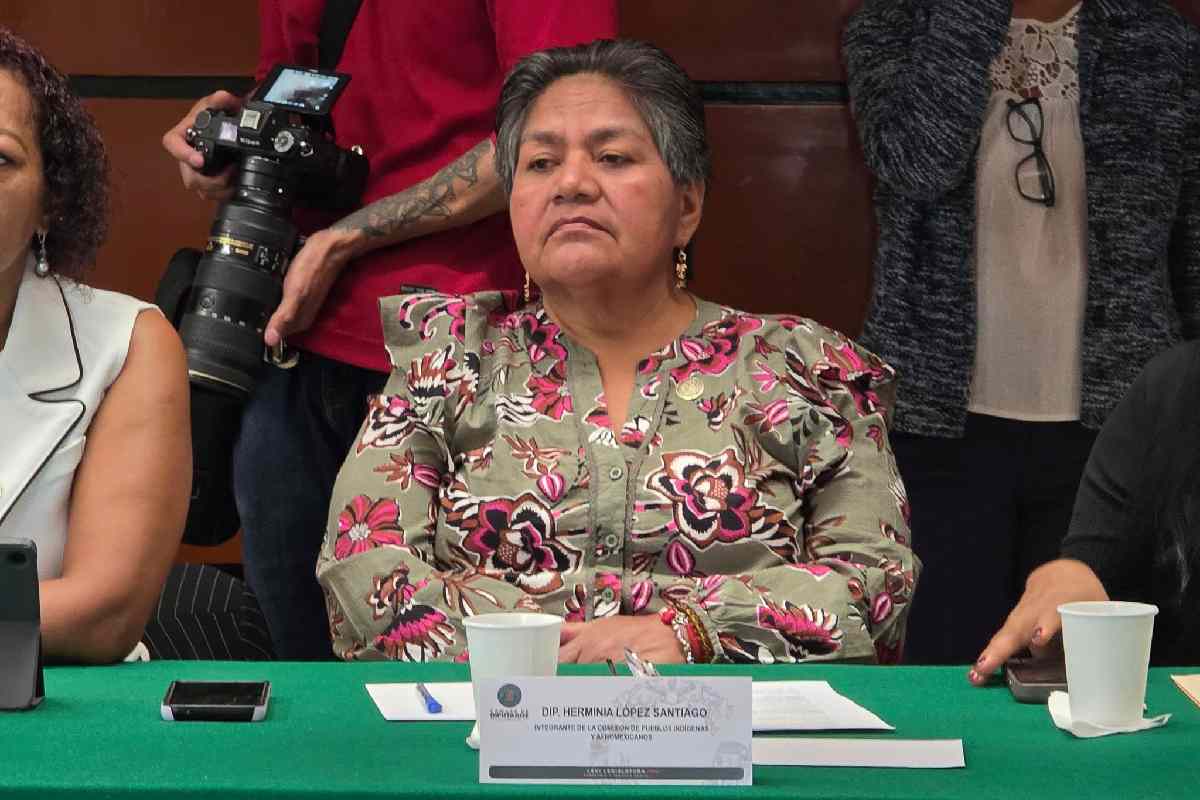 Diputada de Morena propone prohibir licencias legislativas para actividades de entretenimiento tras caso de Sergio Mayer