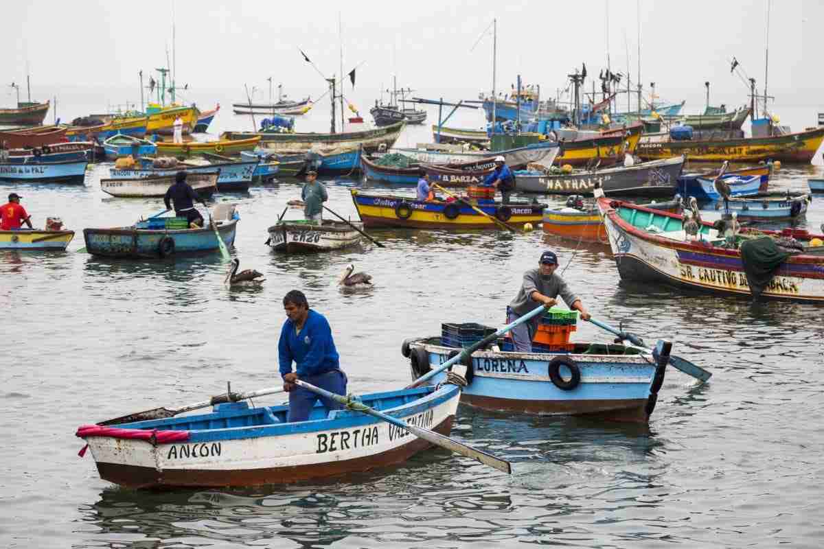 peru-crisis-pesca-entre-populismo-e-indiferencia-4