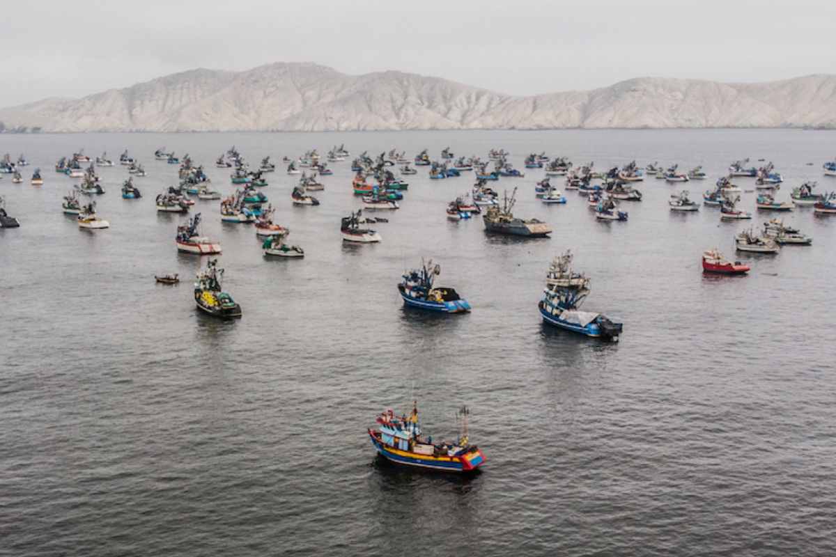 Elecciones en Perú: la crisis de la pesca y del mar quedó atrapada entre populismo e indiferencia